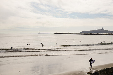 Catching Waves: Surfing on the Beach