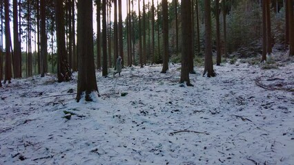 Shot of female walking through white snow covered forest floor during evening time.