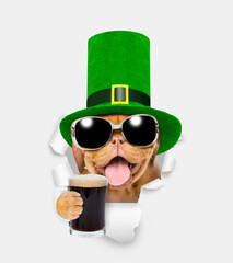 Saint Patrick's Day concept. Happy mastiff puppy wearing sunglasses and hat of the leprechaun with...