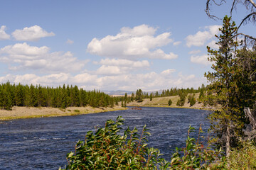Scenic view of Yellowstone National Park's water and trees