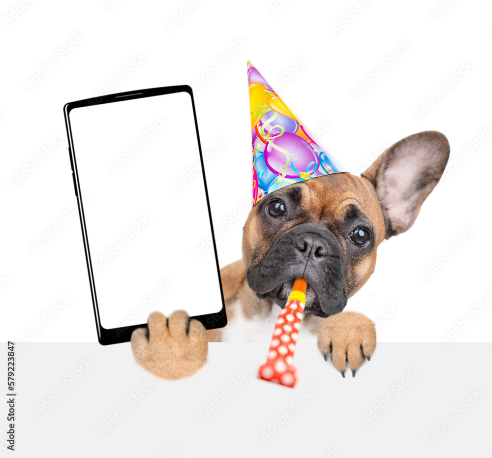 Poster french bulldog puppy wearing party cap blows into party whistle and holds big smartphone with white 