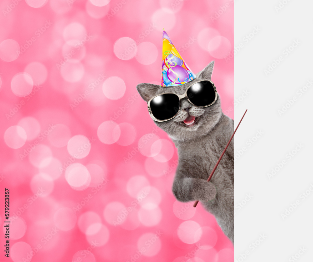 Aufkleber Happy cat wearing party cap and sunglasses points away on empty white banner. Shade trendy color of the year 2023 - Viva Magenta background. Empty space for text