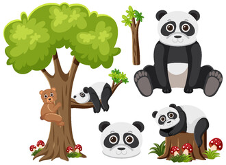 Set of panda cartoon character