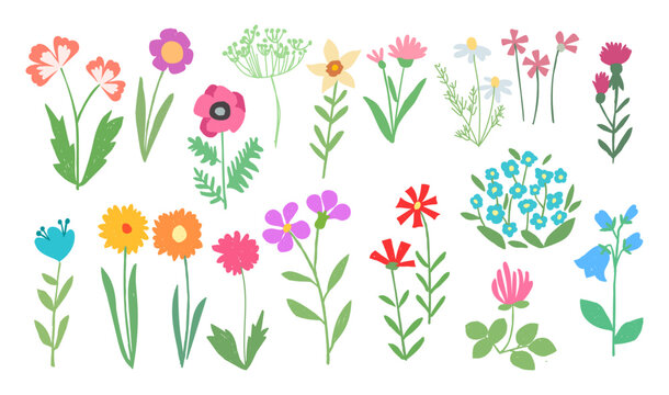 Children's drawing. Set with wild flowers