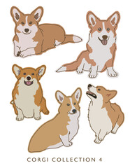 Corgi Dog Color Illustrations in Various Poses Collection 4