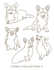 Fototapeta na wymiar Corgi Dog Outline Illustrations in Various Poses Collection 4