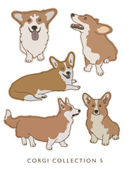 Corgi Dog Color Illustrations in Various Poses Collection 5