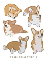 Corgi Dog Color Illustrations in Various Poses Collection 6