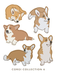 Naklejka premium Corgi Dog Color Illustrations in Various Poses Collection 6