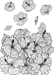 Hibiscus flower vector set.Traditional Japanese flower for coloring book on white isolated background.