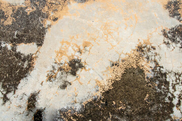 background texture surface old cement floors dirty on street