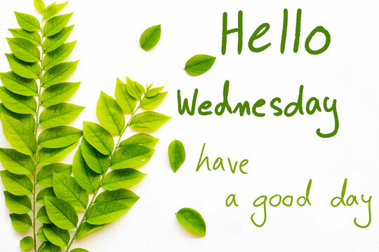 hello wednesday have a good day  message card handwriting with leaf arrangement hearts flat lay postcard style on background white