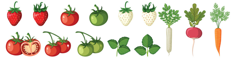 Set of vegetables on white background