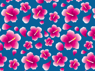 ハイビスカスB1-12