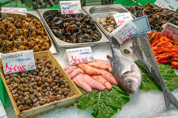 Clams,seafood and fish for sale at a market in Barcelona, Spain