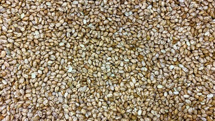 close up of a pile of lentils - seeds background Hd wallpaper - Houston, Texas, USA.