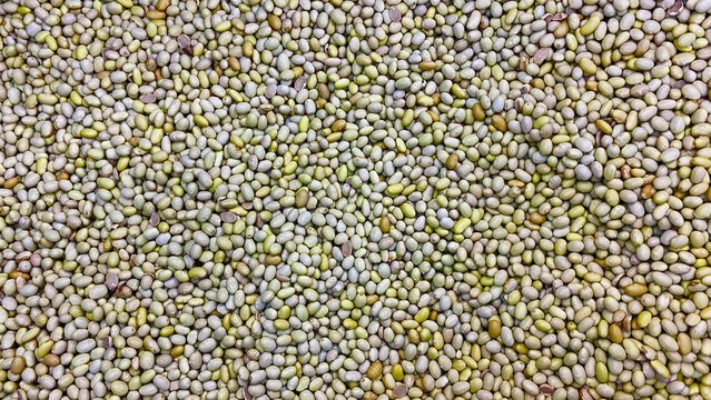 close up of a pile of lentils - seeds background Hd wallpaper - Houston, Texas, USA.