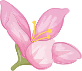 Obraz na płótnie Canvas Watercolor Flower Illustration
