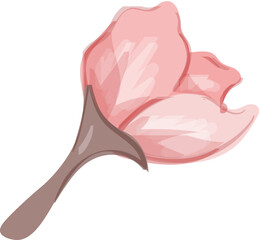 Watercolor Flower Illustration