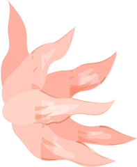 Watercolor Flower Illustration