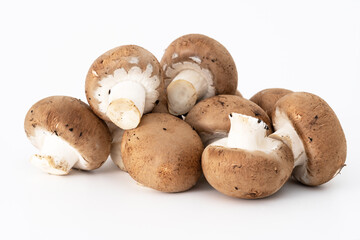 Champignons