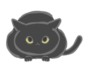 丸まる黒猫のイラスト素材