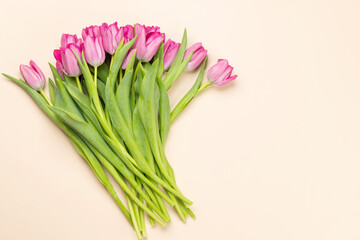 Pink tulip flowers