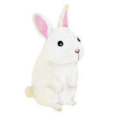 cute white rabbit illustration