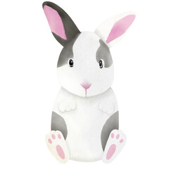 grey and white rabbit sitting illustration