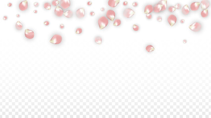 Pink Vector Realistic Petals Falling on Transparent Background.  Spring Romantic Flowers Illustration. Flying Petals. Sakura Spa Design. Blossom Confetti. Design Elements for Wedding Decoration.