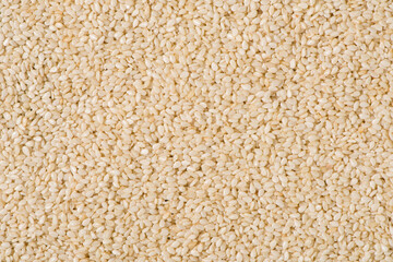 white sesame seeds texture background.