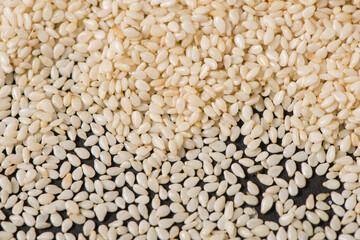 white sesame seeds texture background.