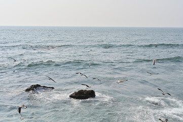 Fototapeta premium Circling the northeastern coast in spring