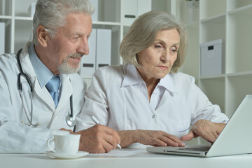 Portrait of an elderly couple of doctors at the laptop