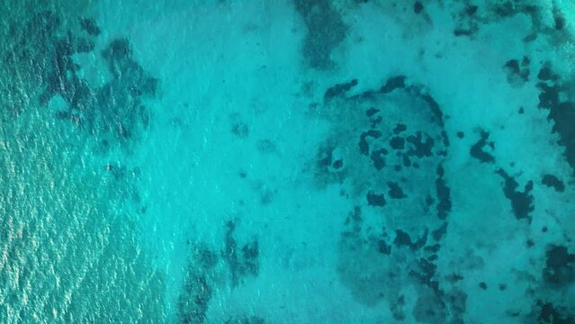 Beautiful drone view of the lake bottom of Lake Attersee, Upper Austria, Europe, with its crystal clear and turquoise greenish water - camera looks down, then spins downwards descending