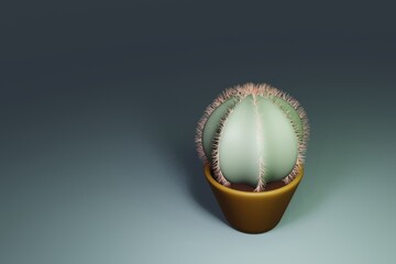cactus flowerpot on background 3d render. 
