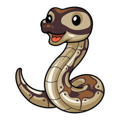 Cute black head butter ball python cartoon