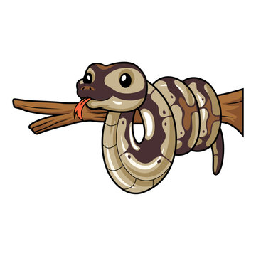 Cute black head butter ball python cartoon on tree branch