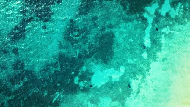 Beautiful drone view of the lake bottom of Lake Attersee, Upper Austria, Europe, where the remains of prehistoric pile dwellings are visible in its crystal clear and turquoise greenish water