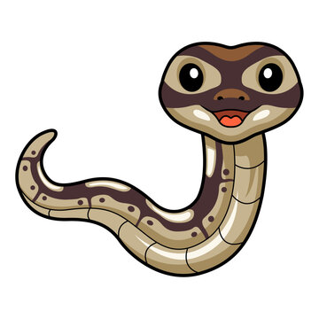 Cute black head butter ball python cartoon