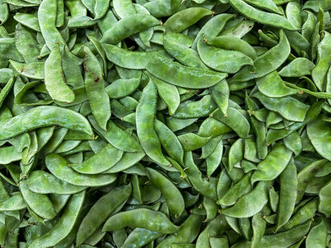 Green Lablab beans native Africa cultivated throughout Tropics.  Aka Hyacinth bean, Bonavist pea, Dolichos, Seim or Sem bean, Egyptian kidney bean, Indian bean, Australian pea, Bataw