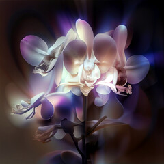 A young orchid in light purple tones, beautiful spectral light flowers , the petals are flashing gray light, background gray, drop reflection light, reflection, ai illustrations,ai generative,
