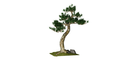 Tree in a pot ,Bonsei png ,3d render