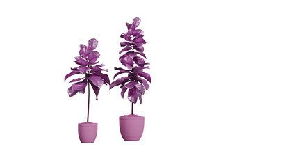Tree in a pot ,Bonsei png ,3d render
