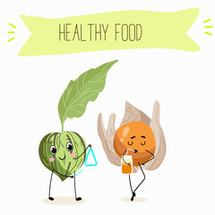 Illustration with funny characters tomatillo, tomato, physalis, uvilla, phisalis, uchuva, phisalys, 
ground cherry,   Funny and healthy food. Vitamins, cute face food, ingredients, vegetarian, vector 
