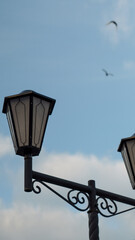 street lamp in the city