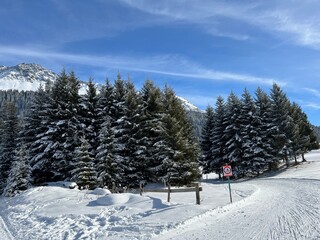 Excellently arranged and cleaned winter trails for walking, hiking, sports and recreation in the area of the tourist resorts of Valbella and Lenzerheide in the Swiss Alps - Switzerland (Schweiz)