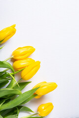 Obraz premium Banner with bouquet of tulips in pink and white colors. Concept of spring. Flowers background.