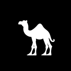 White camel on black background modern design vector icon symbol
