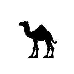 Black camel on white background modern design vector icon symbol
